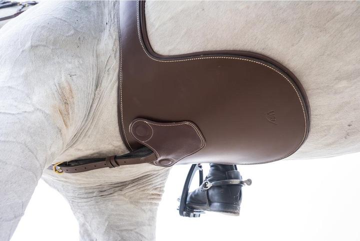 Image du produit HFI Master Sangle bavette d'équitation avec aimants