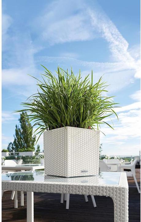 Produktbild Lechuza Cube Cottage (30 cm)