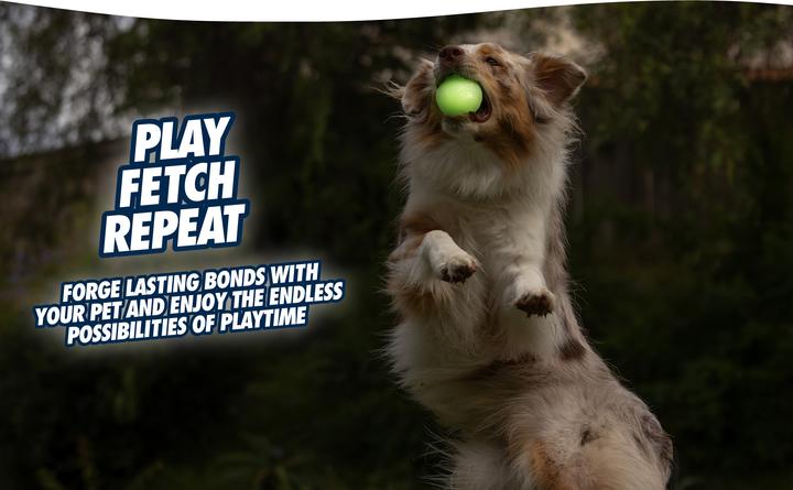 Immagine prodotto Chuckit! CHUCKIT MAX GLOW palla da recupero luminosa 7 6 cm di diametro taglia L bianco (Cucciolata di cane giocattolo)