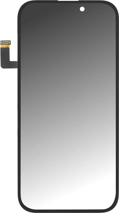 OEM Pulled Original Display für iPhone 17 Pro (Display, Apple iPhone 17 Pro)