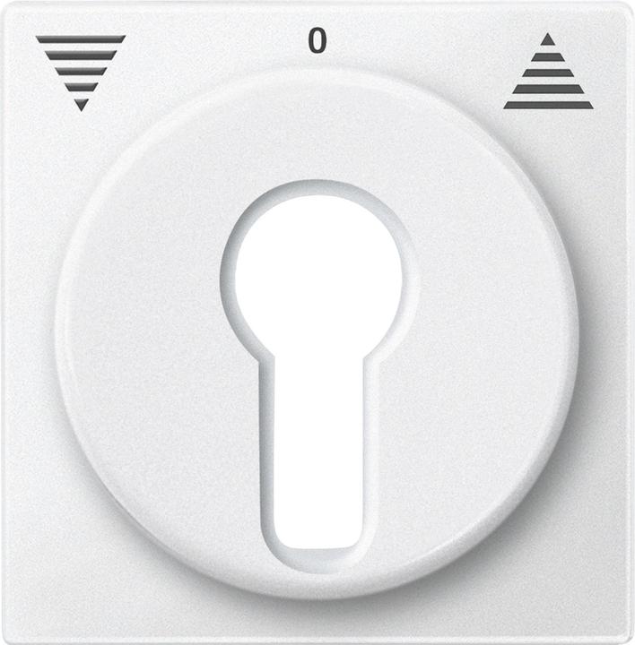 Produktbild Merten 319319 Zubehör für elektrische Schalter