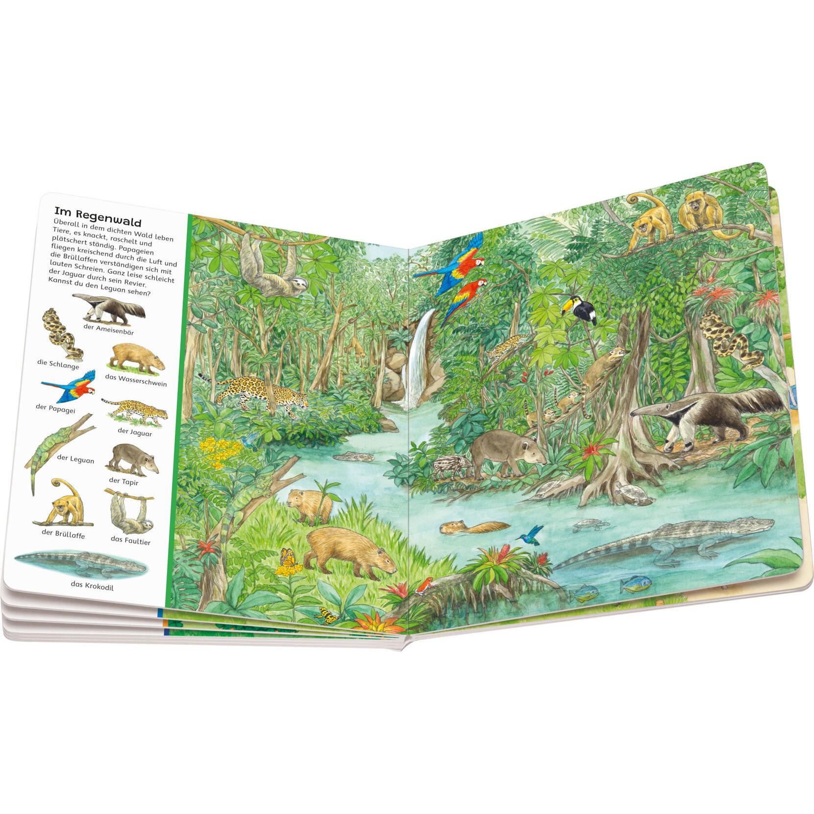 Thumbnail - Mein grosses Sachen suchen: Alle Tiere der Welt, Kinderbücher von Susanne Gernhäuser, Ursula Weller