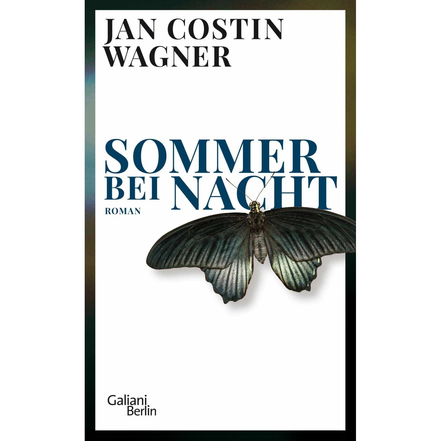Sommer bei Nacht, Belletristik von Jan Costin Wagner