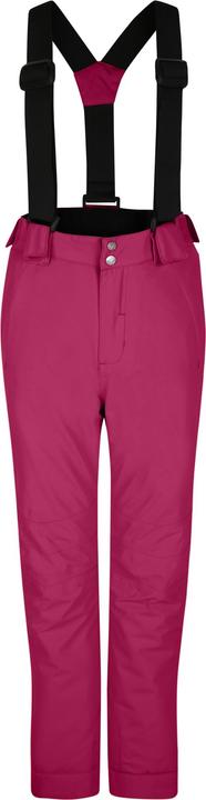 Actual product image Dare2b Childrens/Kids Motive Ski Pants (164)