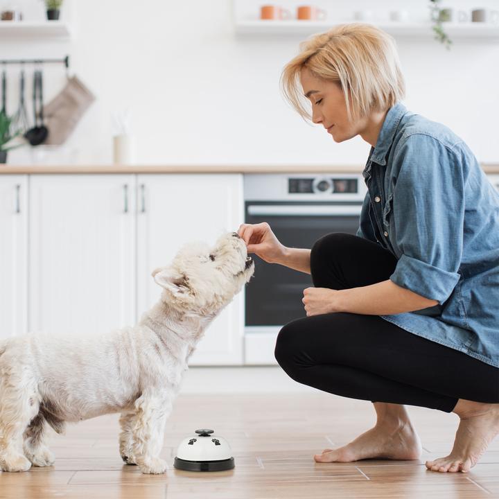 Actual product image Relaxdays 4x pet training bell (Intelligence toy dog)