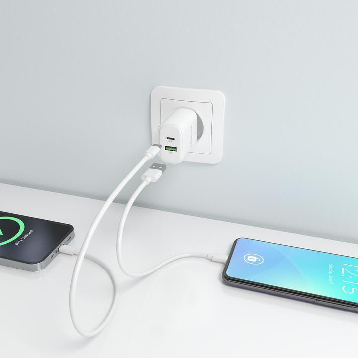 Image du produit Aisens A110-0909 (20 W, 2 ports)