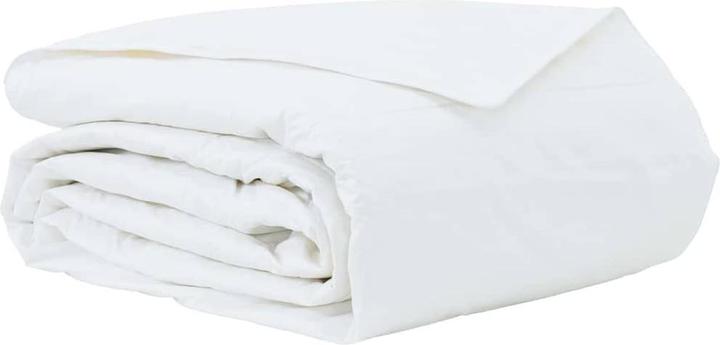 Immagine prodotto vidaXL Sommerdecke (2100 g, Piuma, 200 x 240 cm)