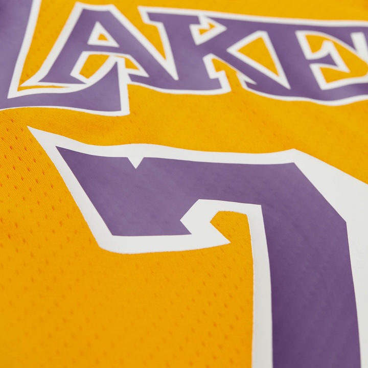 Actual product image Mitchell & Ness Swingman Mesh Jersey Los Angeles Lakers Dennis Rodman - M (M)