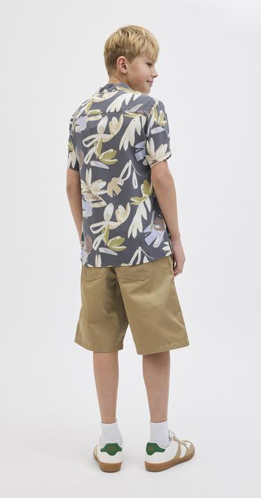 Actual product image Jack & Jones Relaxed Fit Loose Fit Shorts Loose Fit Shorts (176)