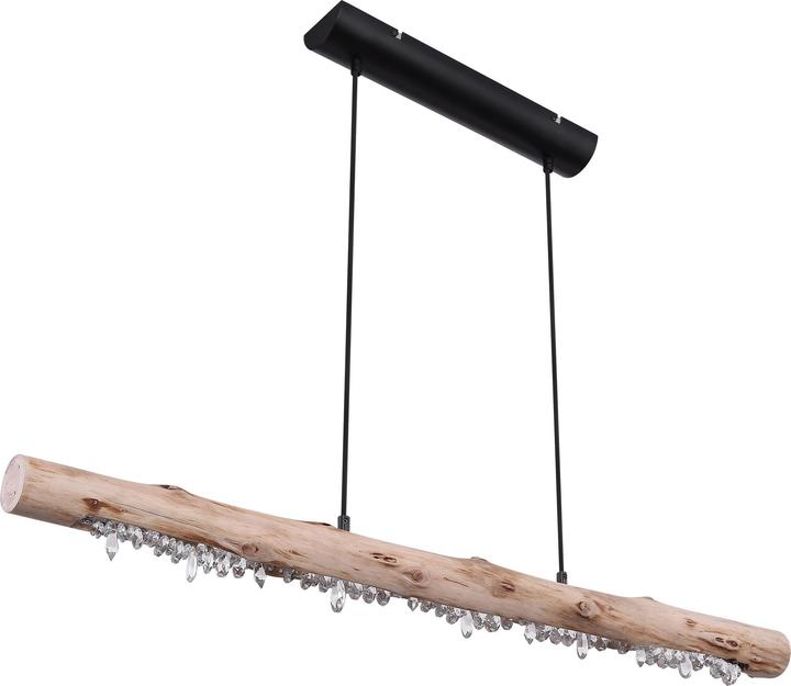 Globo Hängeleuchte Felicitas schwarz matt 1xLED (980 lm)