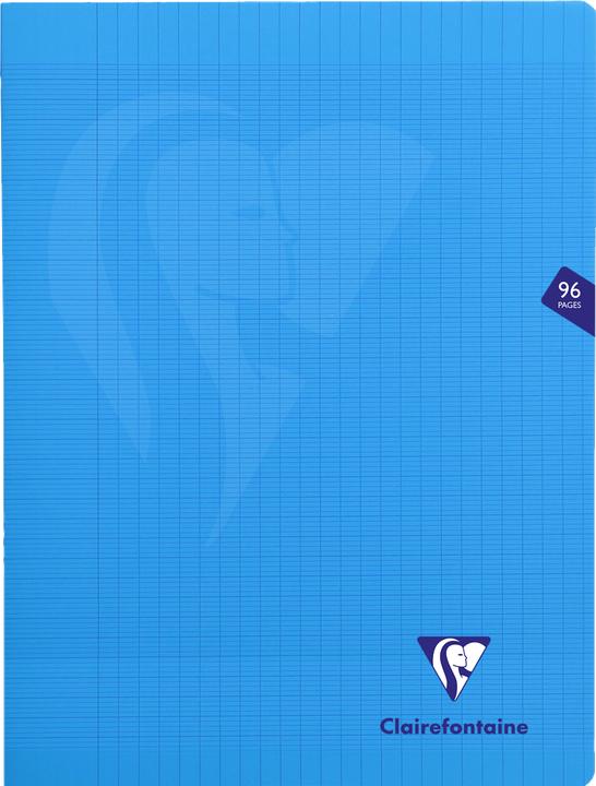 Immagine prodotto Clairefontaine Mimesys (24 x 32 cm)