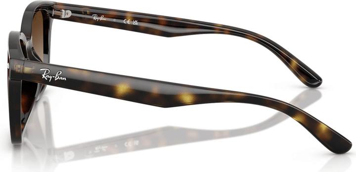 Produktbild Ray Ban RB4461D