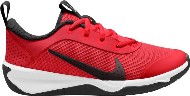 Actual product image Nike Kid's Omni Multi-Court (40)