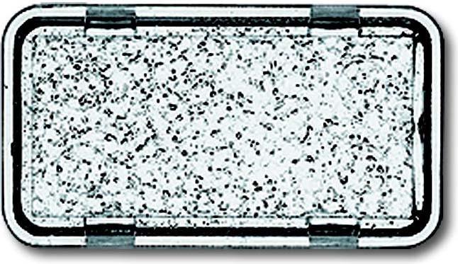 Actual product image Busch-Jaeger Button symbol