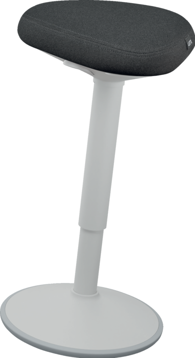 Produktbild Leitz Ergo Active