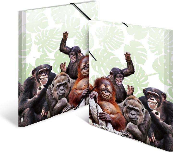 Image du produit HERMA Porte-documents A3 Motif (A3, 1x)