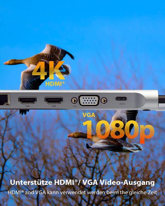 Actual product image Icy Box IB-DK2106-C (USB-C, 5 ports)