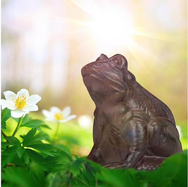 Image du produit Relaxdays Figurine de jardin grenouille, assise