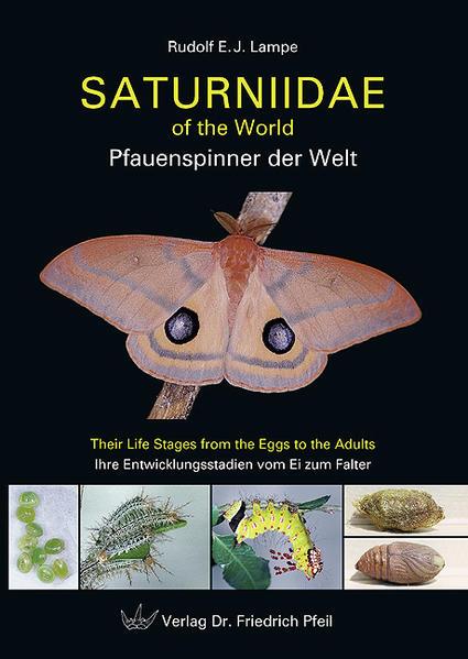Produktbild Saturniidae of the World Pfauenspinner der Welt (Deutsch, Rudolf E. J. Lampe, 2010)