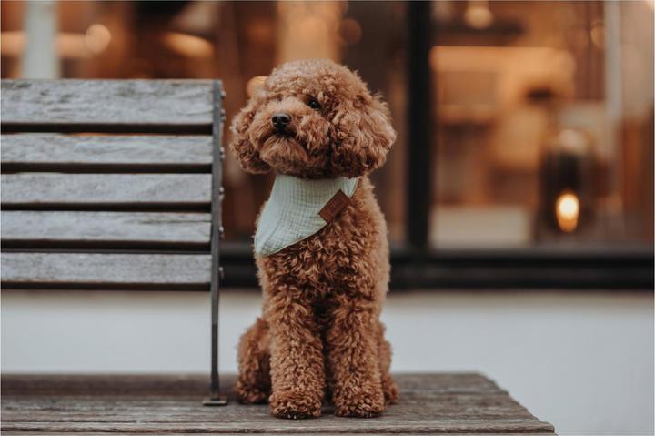 Immagine prodotto Hunter Sciarpa triangolare Nola (L)