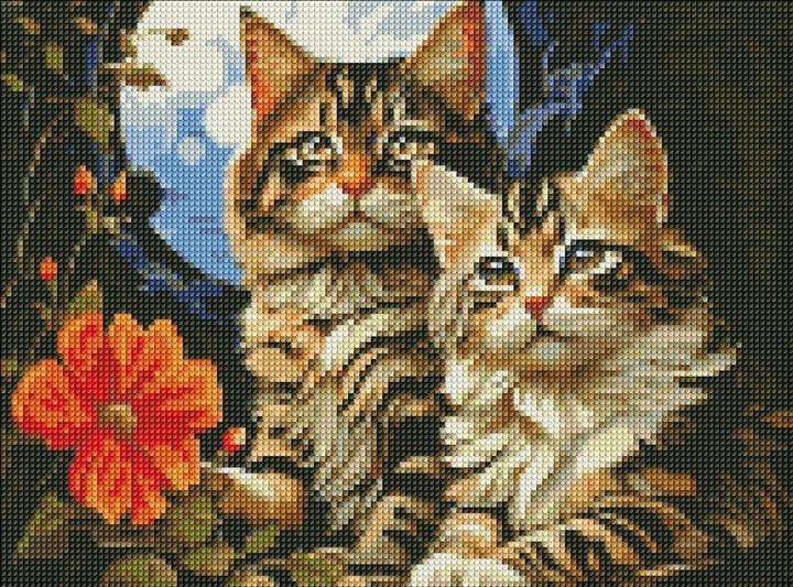 Immagine prodotto Ideyka Quadro Diamante - Gatti con cornice 30 x 40 cm