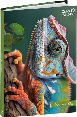 Immagine prodotto Quo Vadis Eurotextagenda Chamäleon 25/26 1282522Q 1T/1S 12M ML 12x17cm (12 x 17 cm, 1 giorno / 2 pagine)