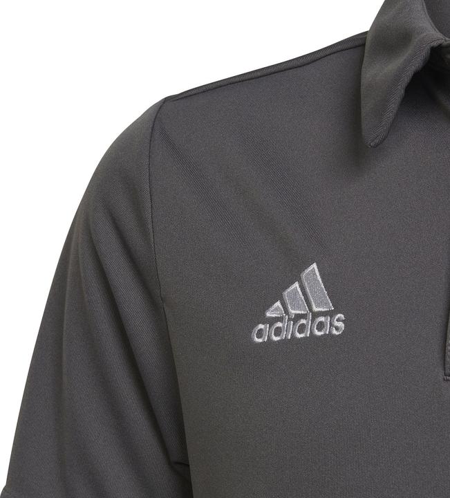 Actual product image adidas Entrada 22 Polo Kids (152)