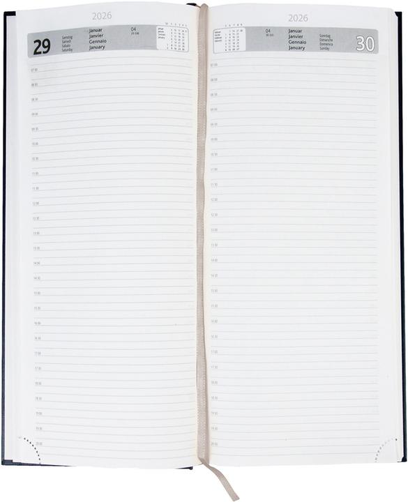 Image du produit Simplex Agenda commercial, format long (13,5 x 31,5 cm, 1 jour / 1 page)