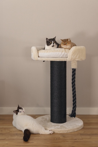 Actual product image Beeztees Tura (100 cm, Brown, Beige)