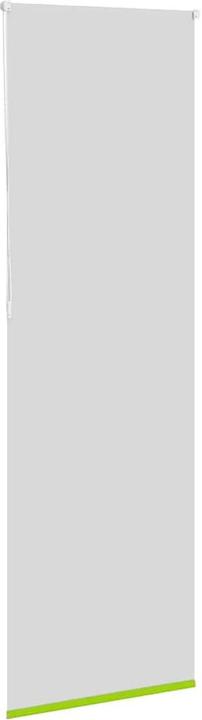 Produktbild vidaXL Verdunkelungsrollo (85 x 210 cm)