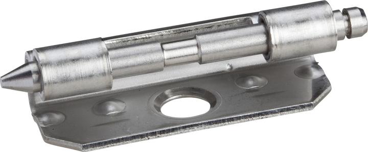 Actual product image Schneider Electric Set 2xHinges