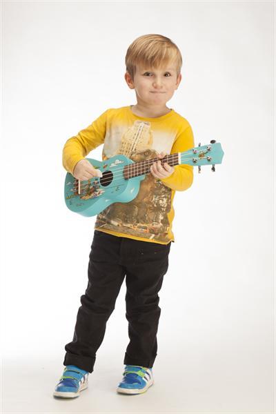 Actual product image 824 (Acoustic)