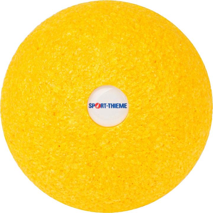 Actual product image Blackroll Ball 08