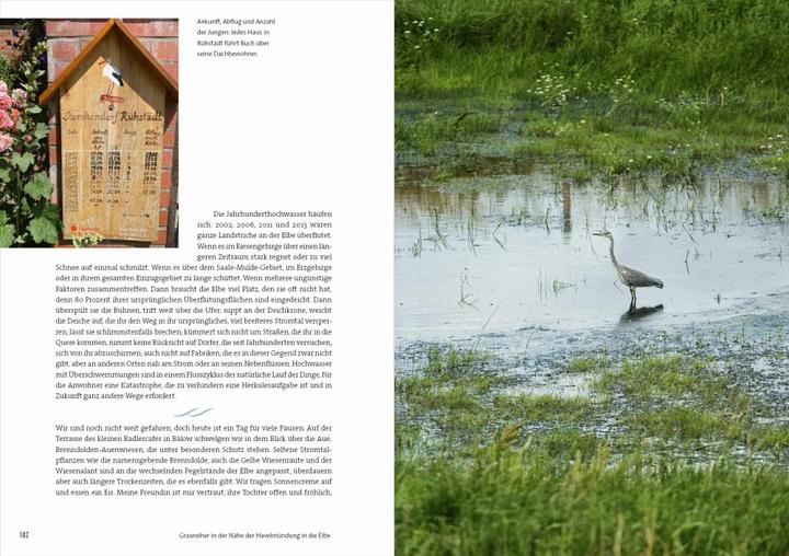 Actual product image Rad, Land, Fluss (German, Alexandra Schlüter, 2022)