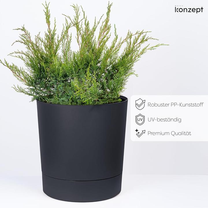 Produktbild Konzept Grosser Blumentopf