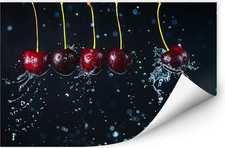Trenddeko Newton's Cradle
