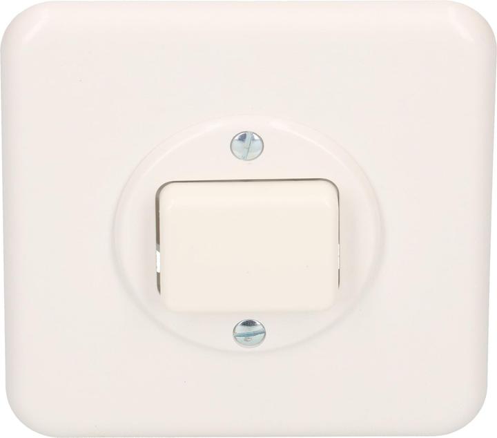 Actual product image Mica 1-gang insert changeover switch