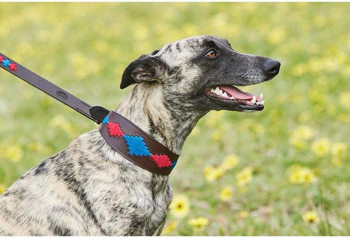 Produktbild Weatherbeeta Lurcher Polo (L, Hund, Hundesport)