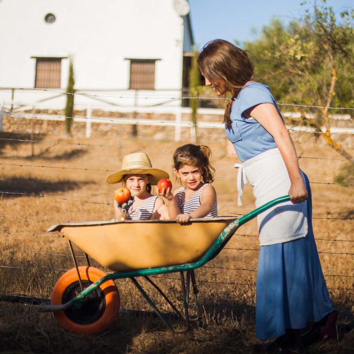 Actual product image Wiltec Inner tube for lawn mower tyre 18x8.50-8 with curved valve stem garden tractor (Lawn mower, Garden machinery spare parts)