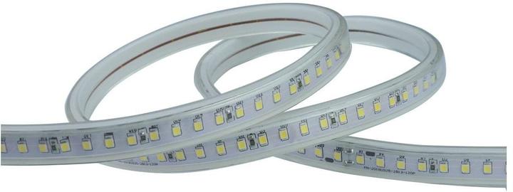 Elbro LED-Lichtband auf Spule (Kaltweiss, Tageslicht, 5000 cm, Indoor, Outdoor)