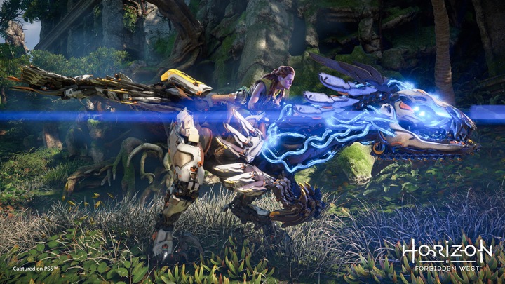 Produktbild Sony Horizon Forbidden West (PS4, EN)