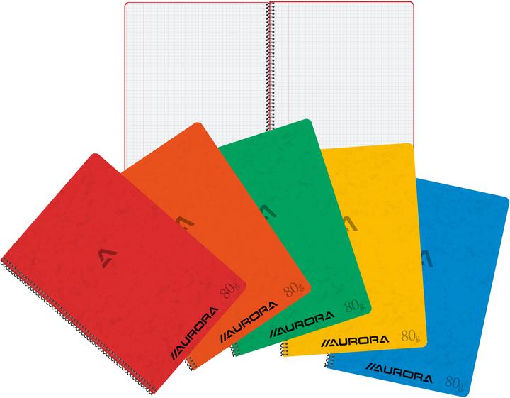 Aurora Notebook spiral binding DIN A4 squared cardboard assorted colours (A4, Checked)