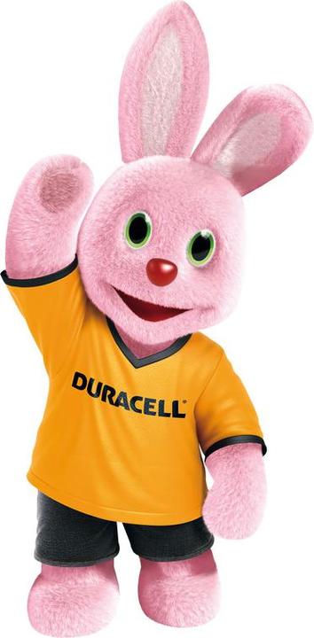 Image du produit Duracell Plus Power (16 pcs, AAA)