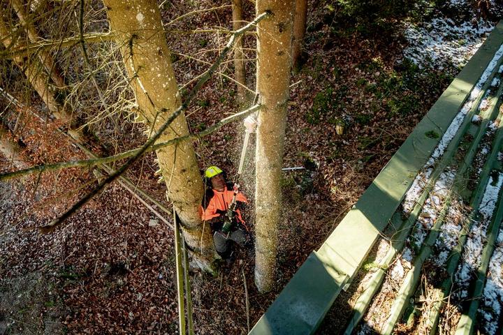 Produktbild Metabo MA-MS 25 (Akku Kettensäge)