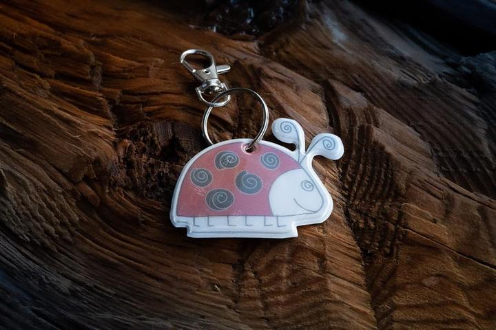 Actual product image Softreflector Reflector ladybird pendant