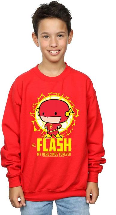 Produktbild Flash My Hero Since Forever Sweatshirt Jungen (116)