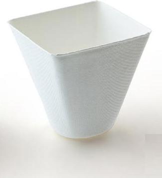 Actual product image Sier Bagastro (40x)