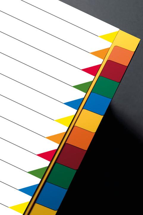 Image du produit Kolma Intercalaire A4 superstrong vierge 20 pièces couleur