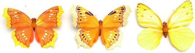 Actual product image Glorex Butterfly 3 assorted