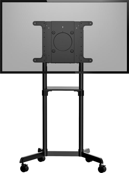 Image du produit StarTech Chariot TV - Support TV à roulettes pour écrans VESA 37-70 pouces () - Support TV avec étagère & (70 kg, 37" - 70")